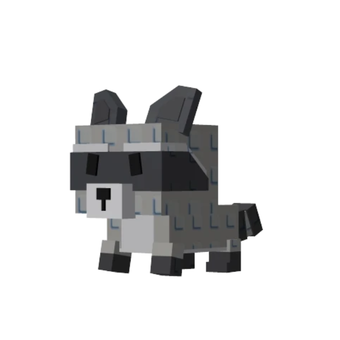 Raccoon