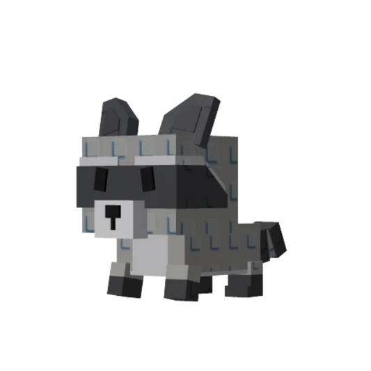 Raccoon